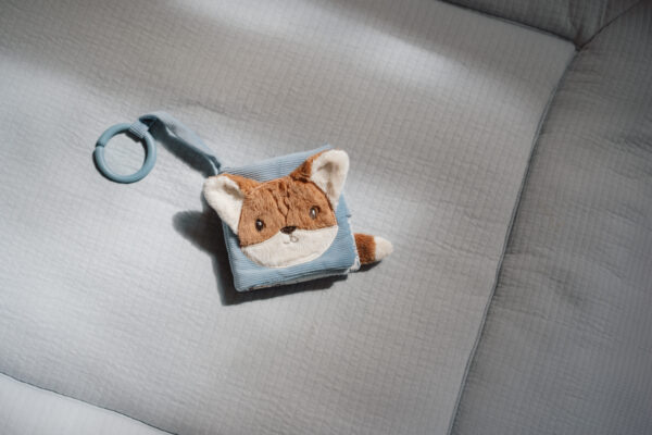 Stroller Booklet - Forest Friends